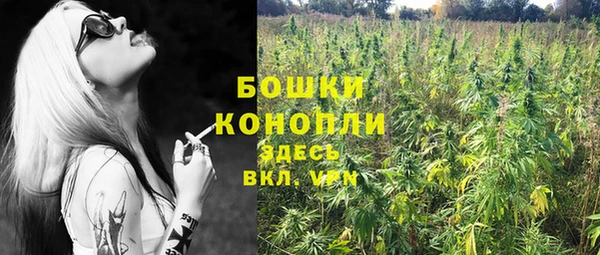 дмт Архангельск
