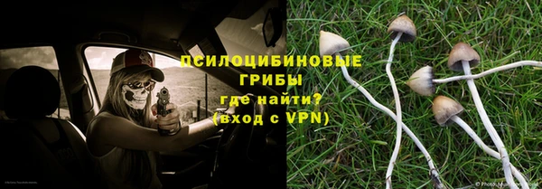 a pvp Ладушкин