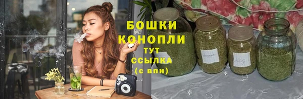apvp Никольск