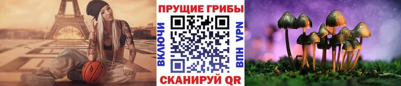 где можно купить наркотик  Артём  Псилоцибиновые грибы Psilocybe 